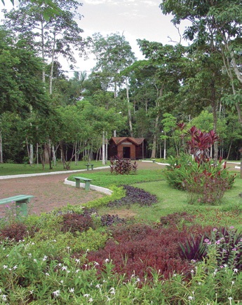parque_chico_mendes